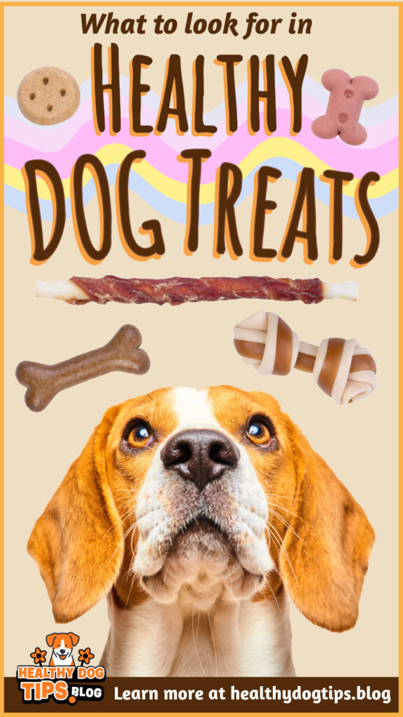 What to look for in Healthy Dog Treats