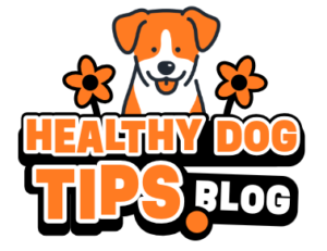 Logo for healthydogtips.blog. Shows cute, cartoon dog with 2 flowers over the words "Healthy Dog Tips.Blog